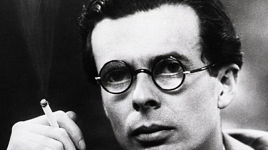 An intellectual is a person who has discovered something more interesting than sex.

 – Aldous Huxley