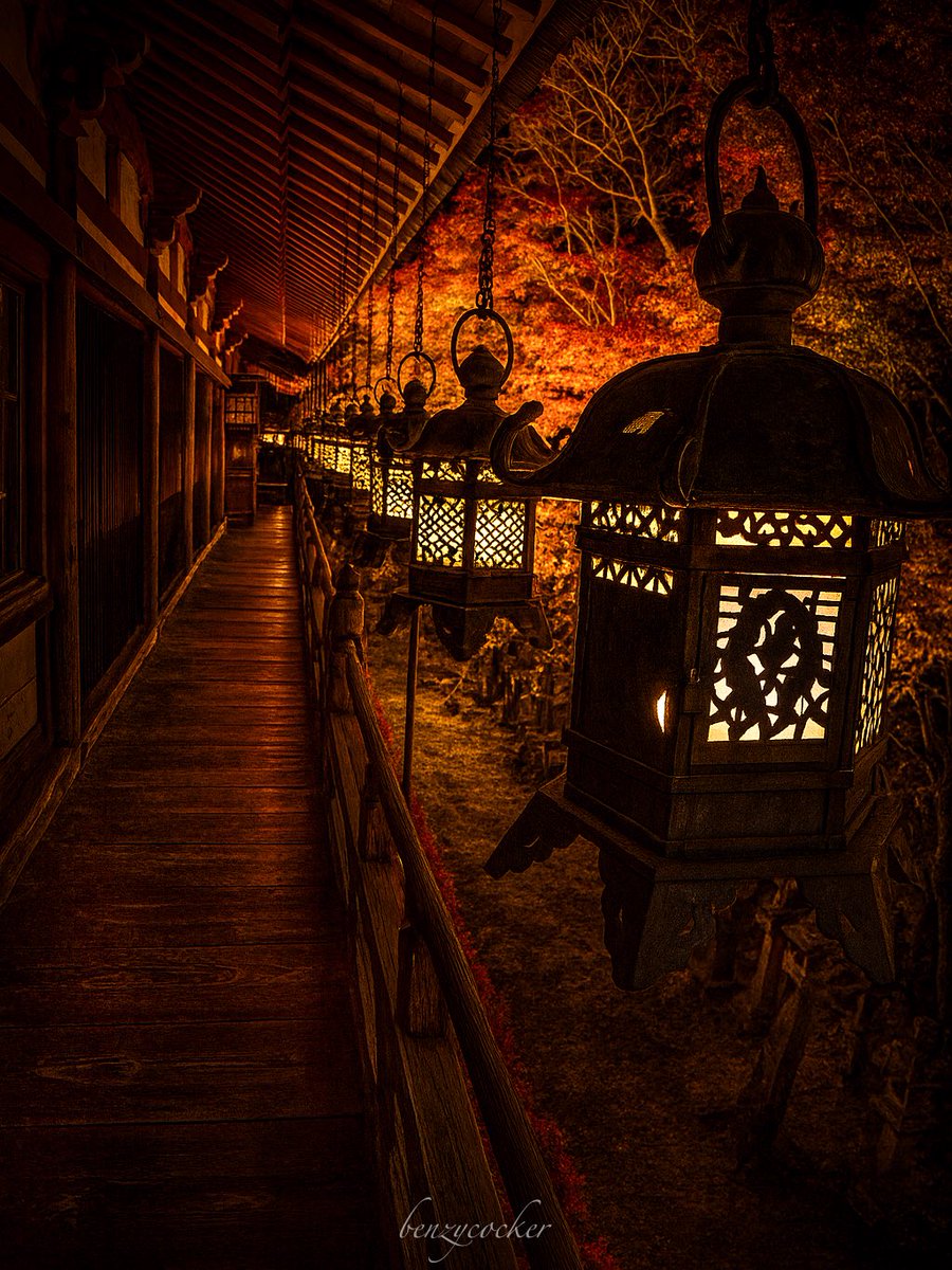 談山神社灯りの回廊、秋夢を静かに導く。