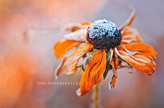 Niech dziś spotka Cię coś małego, a dobrego - to wystarczy, by cały tydzień był lżejszy...

Dzień dobry! 

𓂃𓈒𓏸𓍯 🍁 ⋆｡˚ ☀️

youtu.be/ej95s3triFs?si…