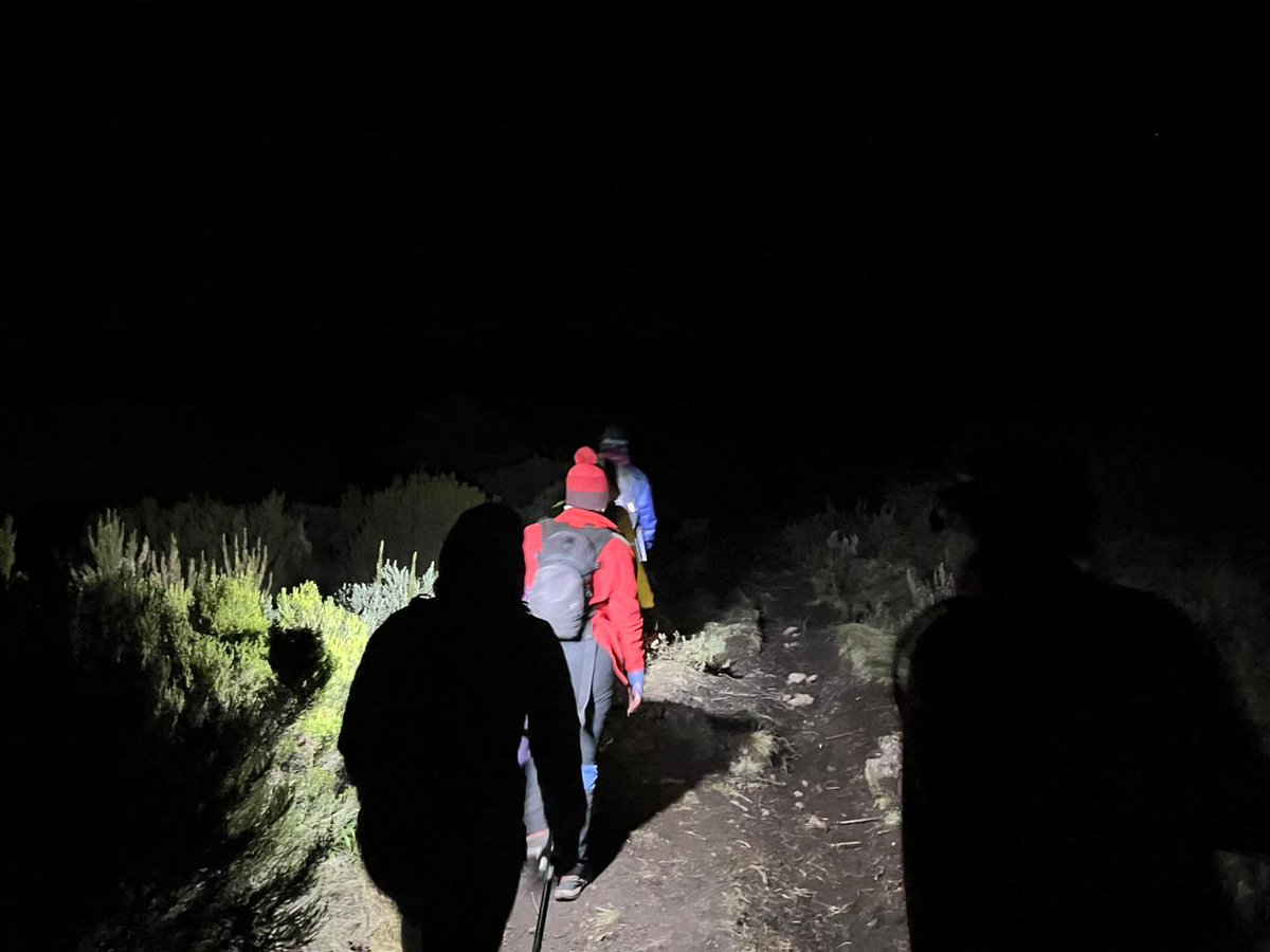 KILELE Health tweet media