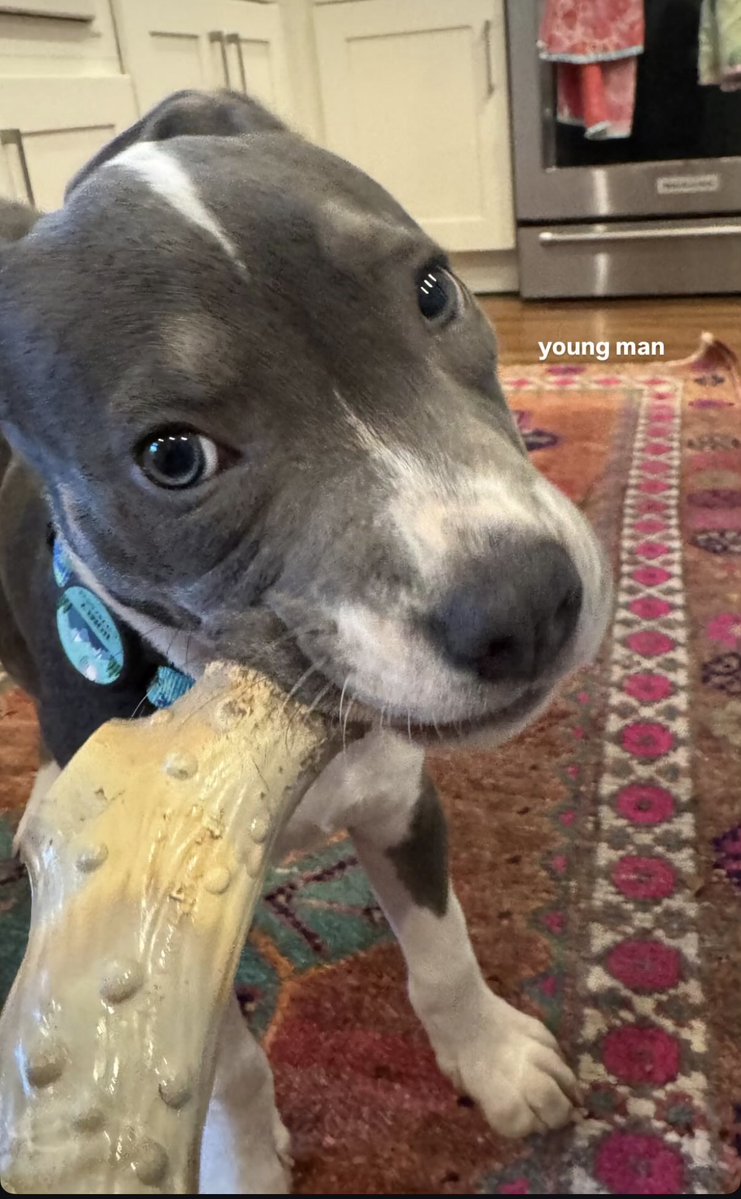 WhatIsTrent's tweet image. 