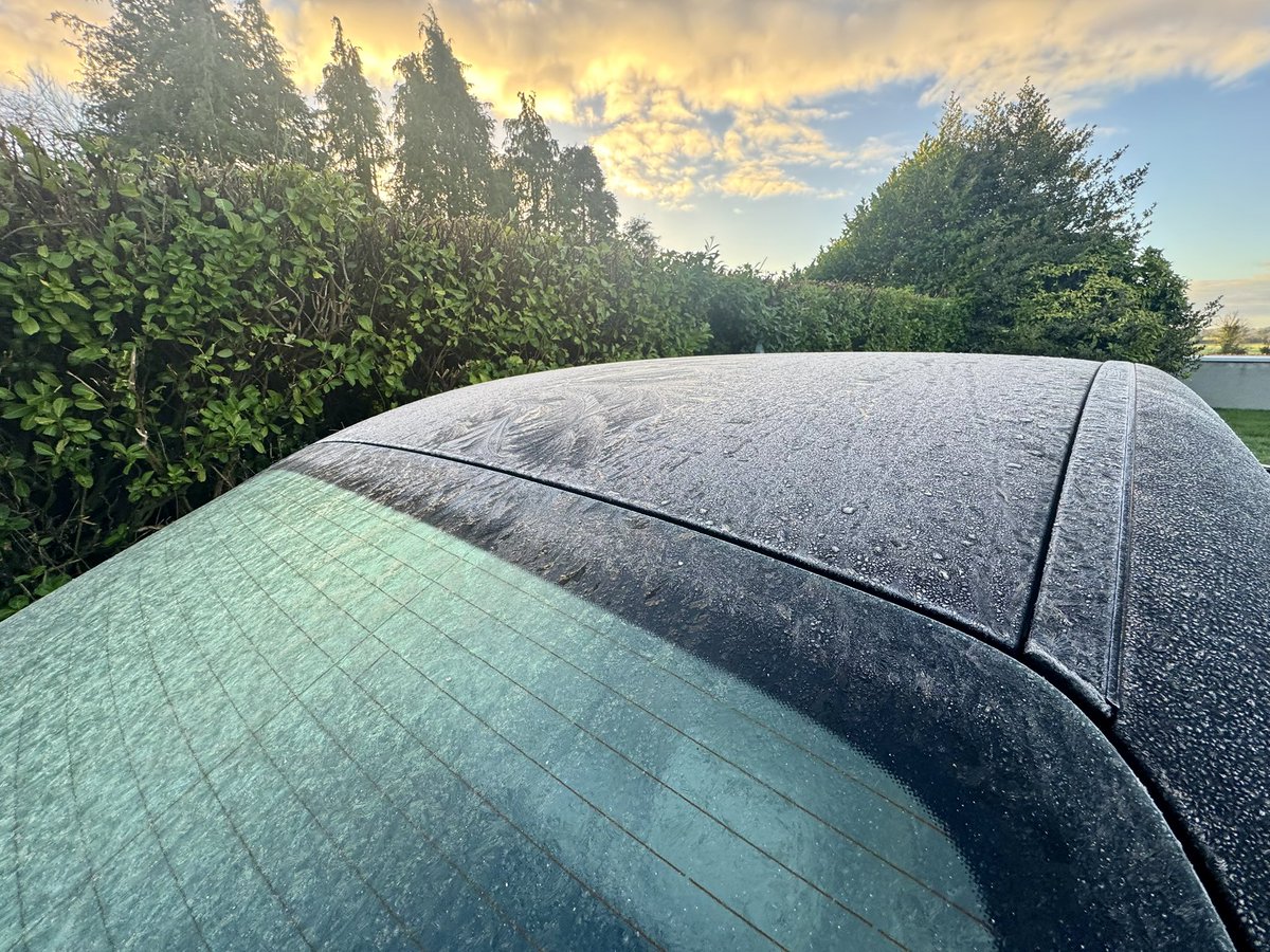 MichealMcNelis's tweet image. And there we have it …#FirstFrost