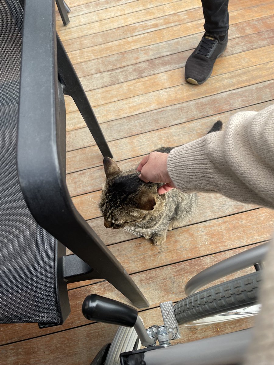 AtenaBadea's tweet photo. Activitatea de ieri, de la Balcic, în compania dnei blănoase cu care am împărțit mâncarea. ☺️ https://t.co/emSEdIxLhd