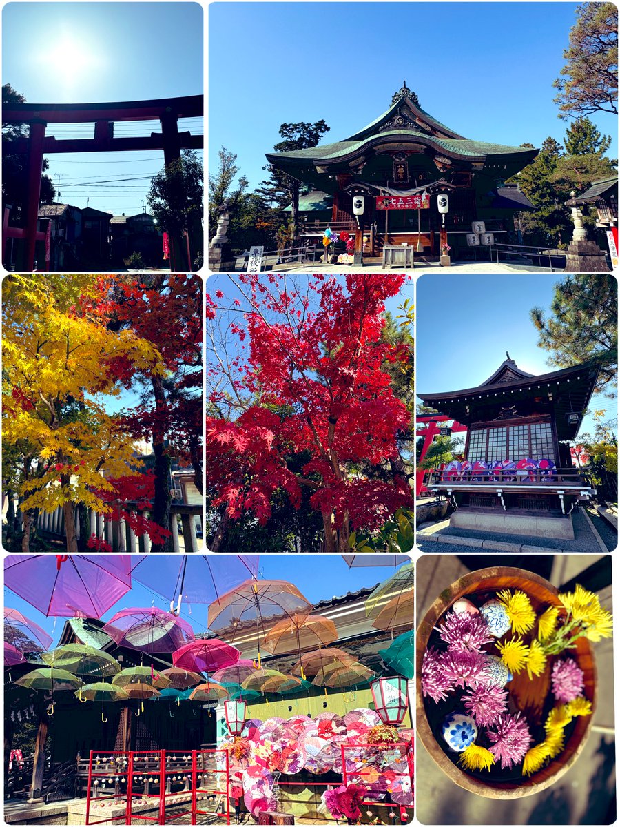 幸🍀 (@nX7z5nzv8ycwMGE) / Posts / X