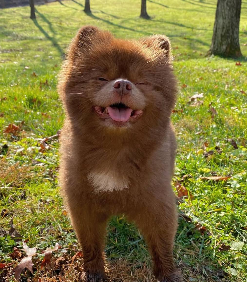 RaeJessica34's tweet image. GM...Happiest Monday 🙂 especially to all the $BERT-lievers 

@bertcoincto