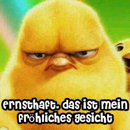 Ist bei mir nicht anders 🤷🏻‍♂️

#Montagslaecheln