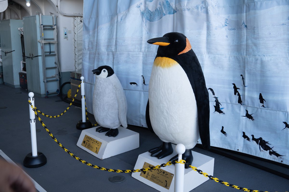 THALES！ほうき！ペンギン（でっか）！