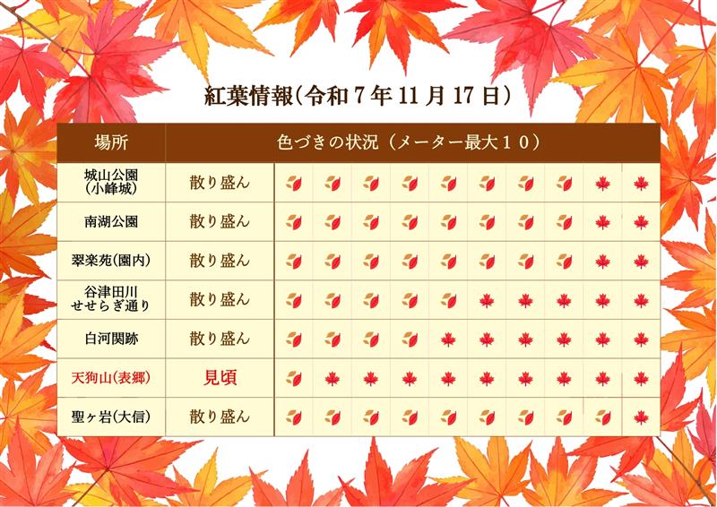 しらかわ紅葉情報🍁11/17時点

日当たりの良い場所は葉が落ち始め、木々が冬支度を始めました🍂

一方で、11/23に山開きを控えた天狗山は今が見頃🍁✨

紅葉情報、次回更新は11/21（金）の予定です！

#白河市 #紅葉 #南湖公園 #小峰城 #白河の関