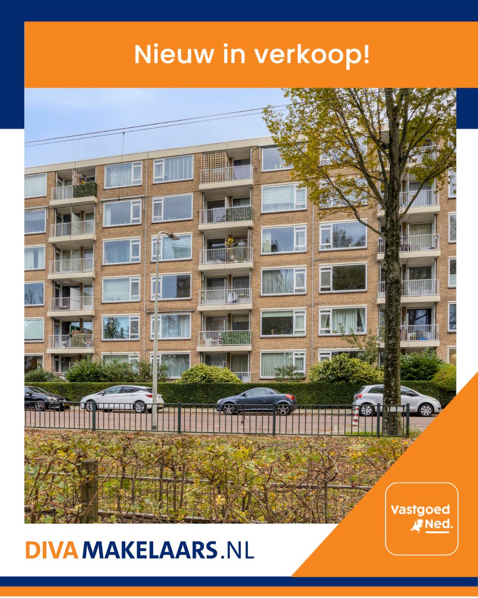 DivaMakelaars's tweet image. #Tekoop 👉 Starters opgelet! Betaalbaar 2-kamer appartement met ruime slaapkamer, praktische keuken en zonnig balkon.  📍 Erasmusplein 151 gelegen in #Moerwijk van #DenHaag 👉 Klik hier: bit.ly/4hZnoKw voor meer informatie