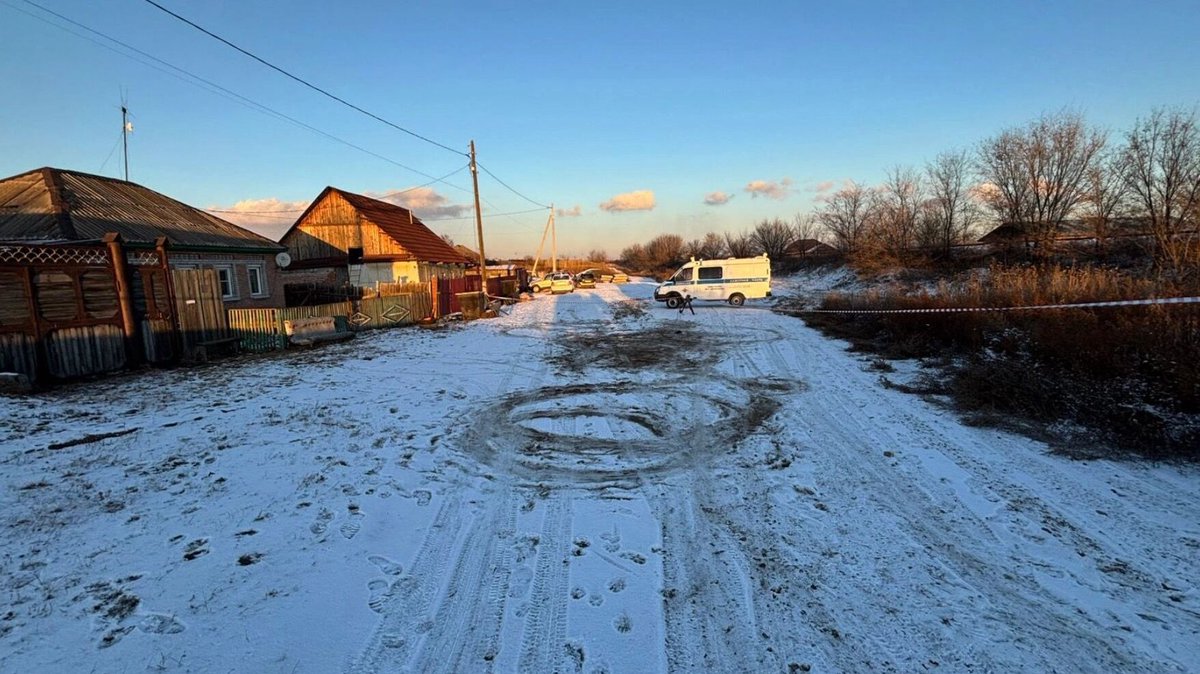 Домашняя собака сбежала и искусала девочку в Хакасии 
prmira.ru/news/2025-11-1…