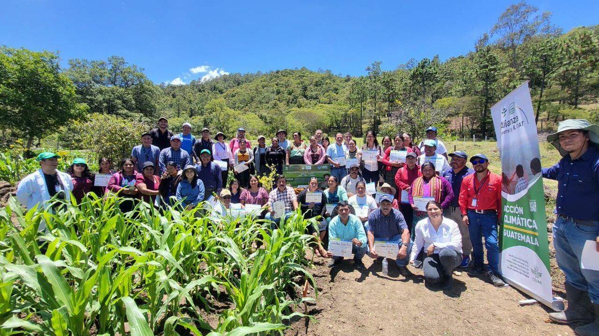 BiovIntCIAT_eng's tweet image. 📚 Innovation thrives when knowledge reaches the field.
In Guatemala, #ScalingForImpact is bridging science and rural communities to co-create climate solutions.
💡 Discover how shared knowledge drives real impact:
🔗 allbiociat.org/3XuZAEW
#AgriLACResiliente #ClimateActionLAC