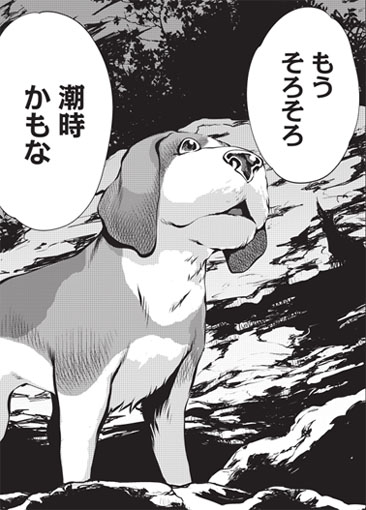 キリングバイツ【公式】／最新刊【第26巻】絶賛発売中！ tweet media