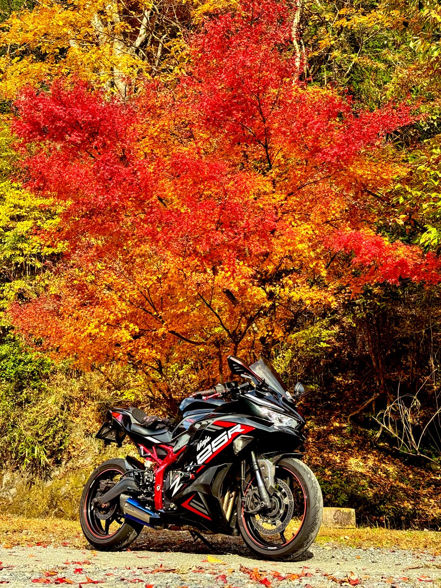 秋を感じさせる写真を貼る見た人もやる