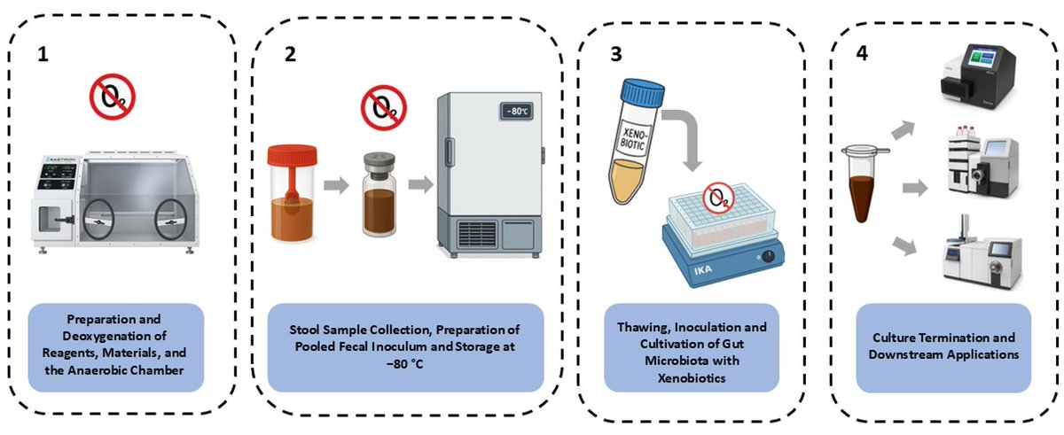 bioprotocolbyte's tweet image. Optimized Protocol for the Collection, Cryopreservation, and In Vitro Cultivation of Human Gut Microbiota for Toxicomicrobiomics Applications:bio-protocol.org/en/bpdetail?id…