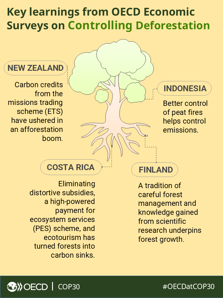 OECDeconomy's tweet image. At #OECDatCOP30, forest-rich countries can lead the way.

@OECD Economic Surveys show how forests can balance emissions through better incentives and sustainable agriculture.

Read the blog 👉 bit.ly/49oz6we

#Deforestation #Forests #ClimateAction