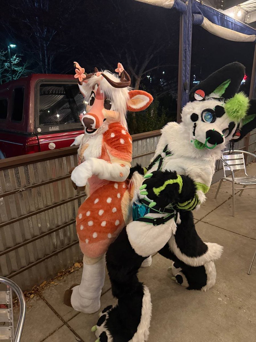 CookieDogz's tweet photo. What the dog doing @wildsabercat 
.
.
📷 @stoworm https://t.co/N6NPSaCjdJ