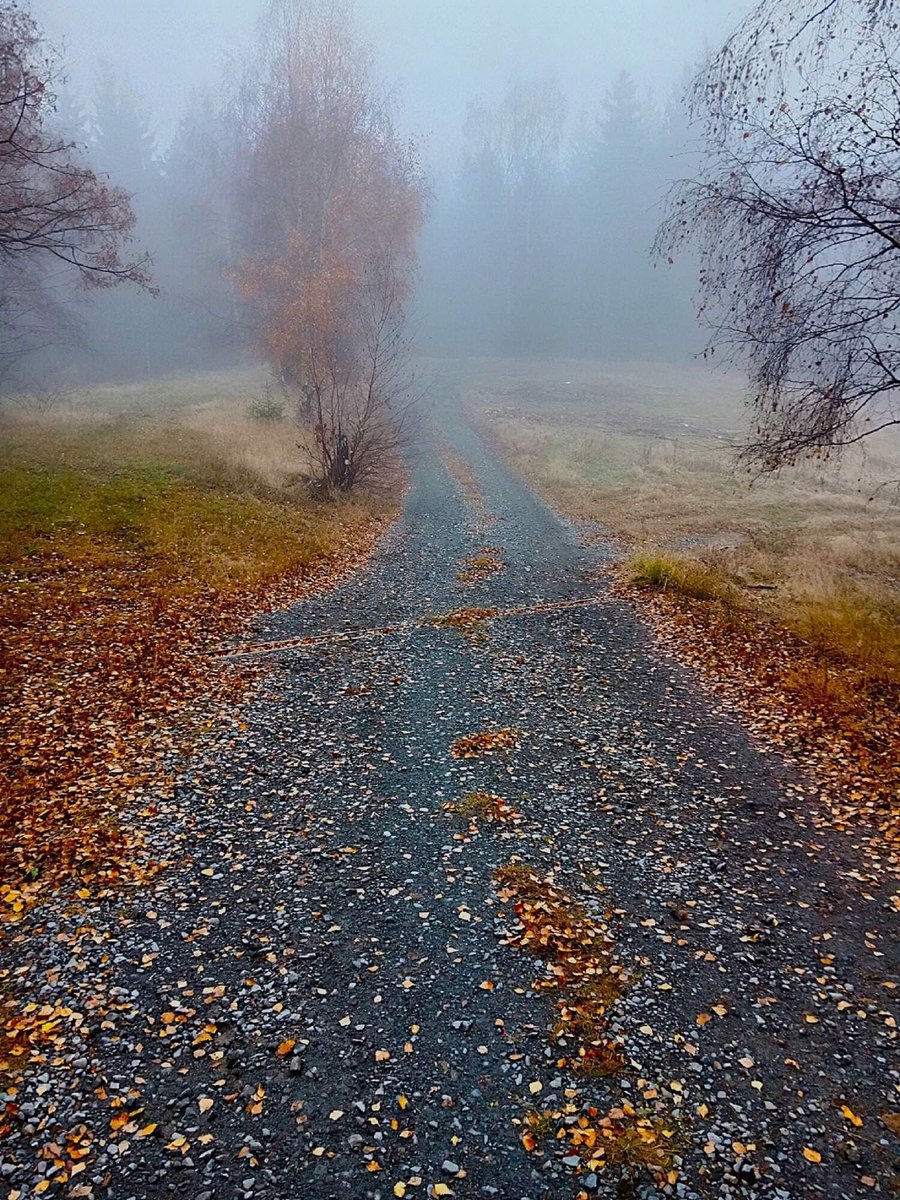 Fimyy Belous (@belousfimy) on Twitter photo 