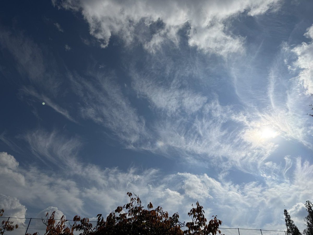 今日のお空です♬︎♡
鮮やかな右幻日が見えました。
