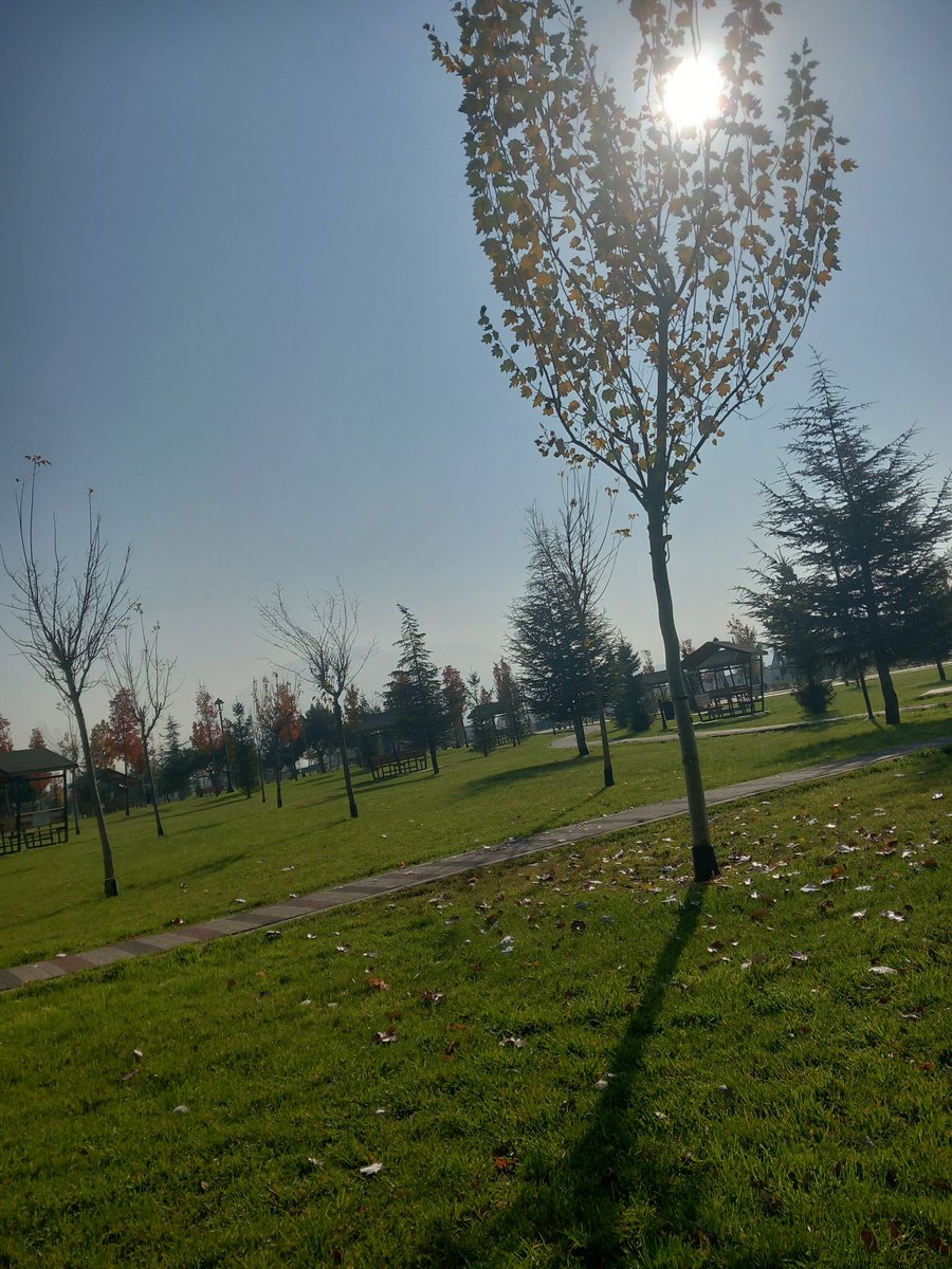 Sahibe ariyom dm kayseri