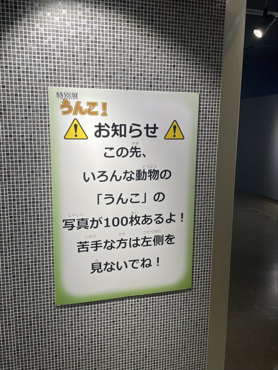 運命の出会いを引き寄せる！プレシャスオパール！不調が治った日にきたオパールだよ！ 運命の出会いを引き寄せる！プレシャスオパール！不調が治った日にきた