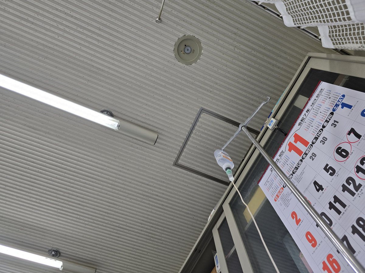 見知らぬ、天井