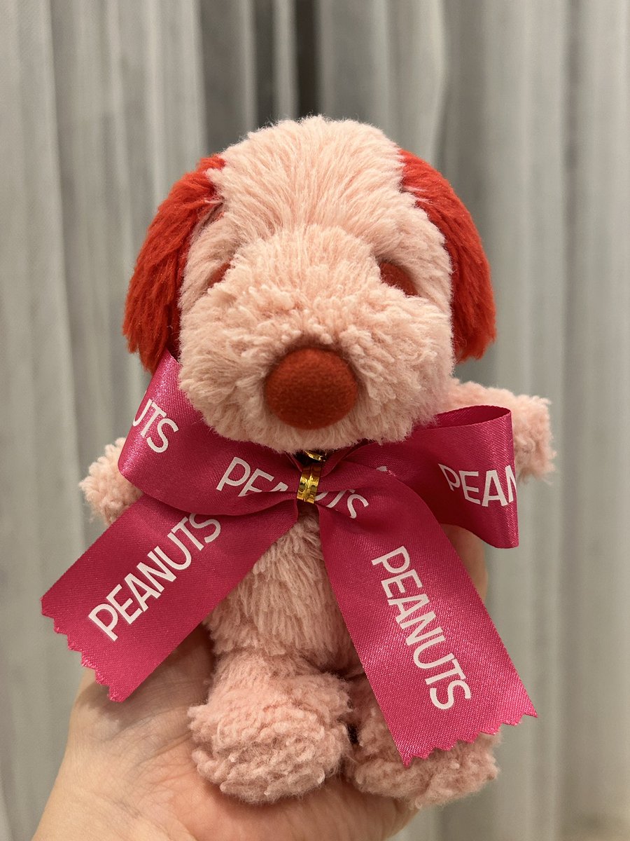 すぬぴぴ⏦ (@oizo__snoopipi) / Posts / X