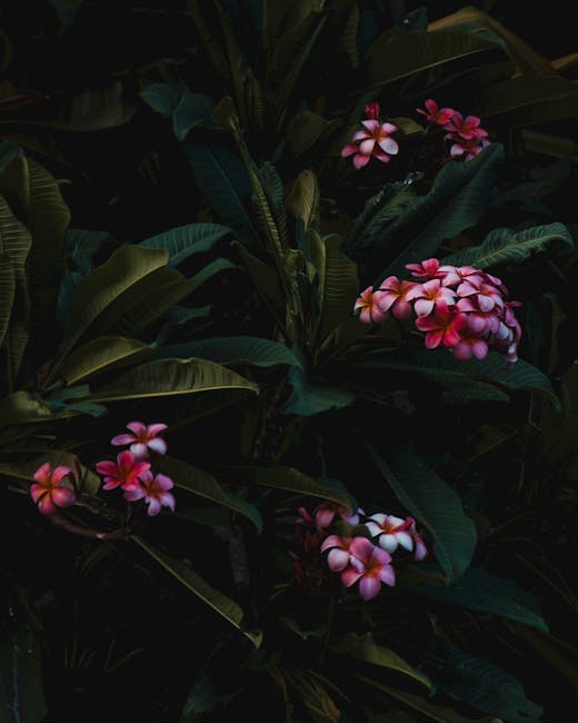 MondayBlogs's tweet image. &quot;There is a ghost who walks my garden each night, summer or winter, rain or snow, and this ghost causes quite the furor in the village...&quot;

The Ghost Walk (a memoir in poem)  | by @DrAlexandriaSZ buff.ly/46kv6Jv

#MondayBlogs