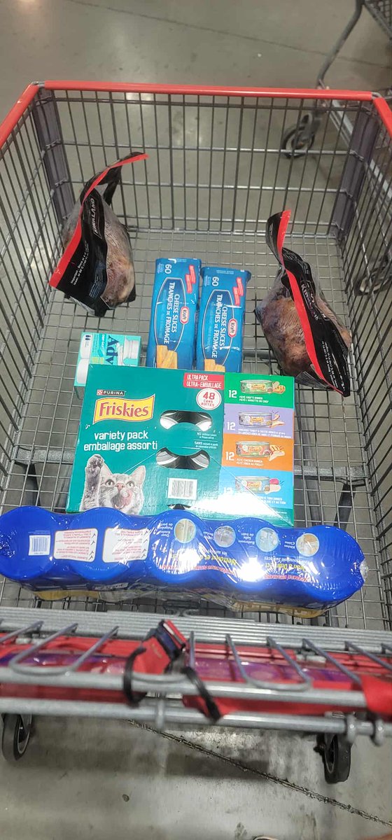 Jason®️™️🍎 tweet media