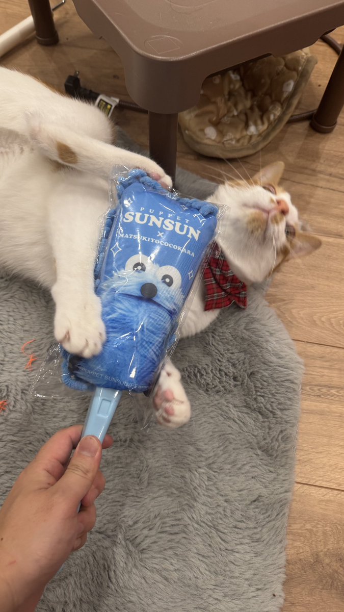 すんすん❗️❗️ 松山英樹が使用する「スリクソンZXi LS」！ ヘッド性能を生かせるHSは