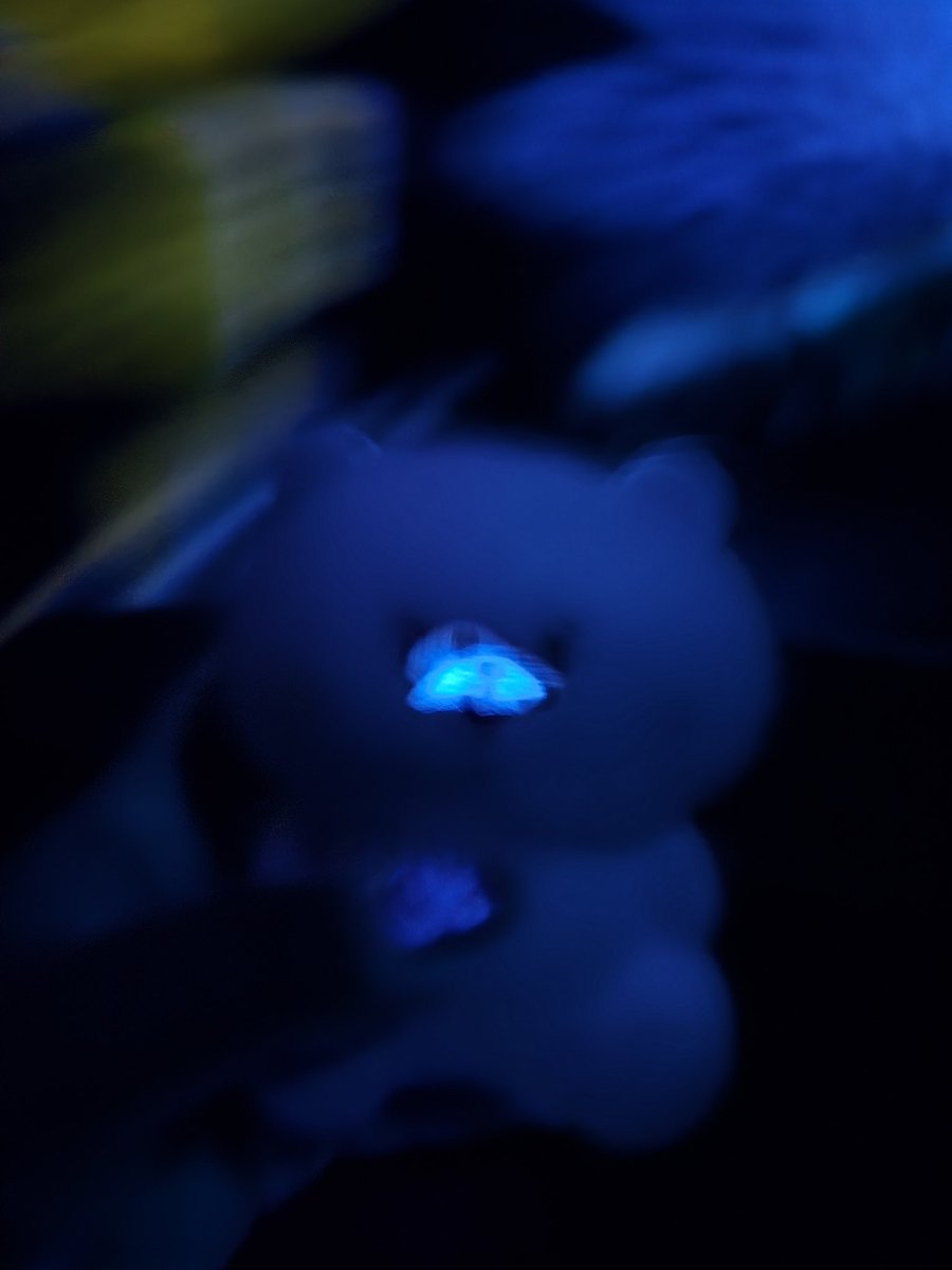 ご検討【3212】口隠しくまちゃん　　フローライト ご検討【3212】口隠しくまちゃん フローライト 091569天然フローライト