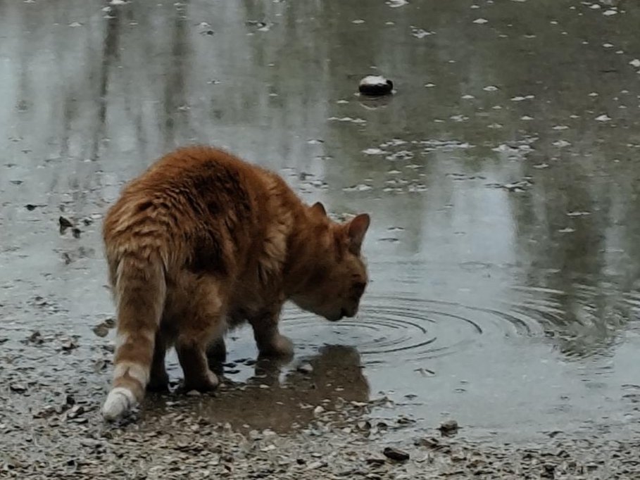 Bon lundi pluvieux ☔