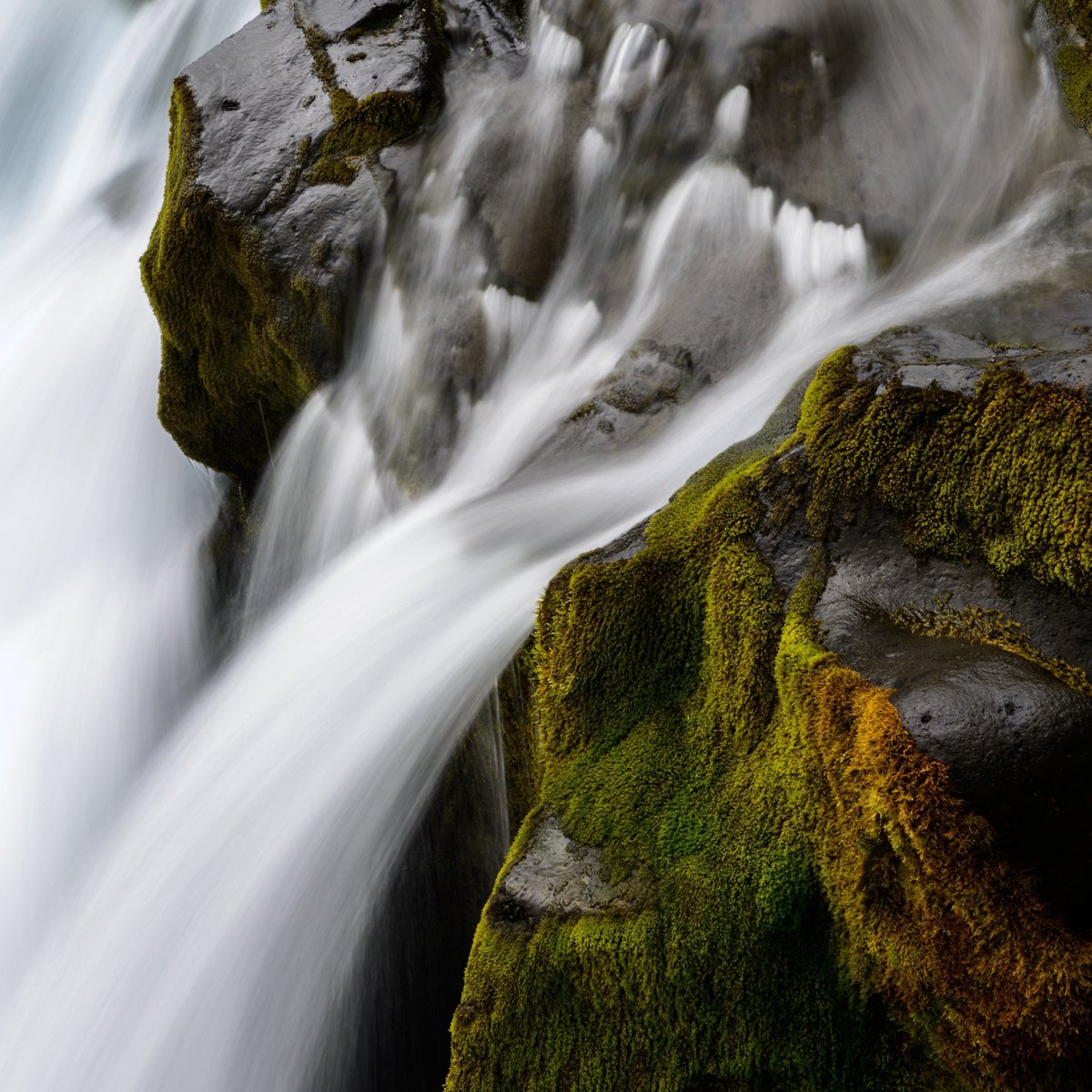 Ginboi4's tweet image. Lorem ipsum dolor sit amet, consectetur adipiscing elit. Maecenas luctus pharetra enim, vitae venenatis sapien pellentesque vel. Proin vitae tempus elit, eget posuere libero.
#pizzaparty #waterfall