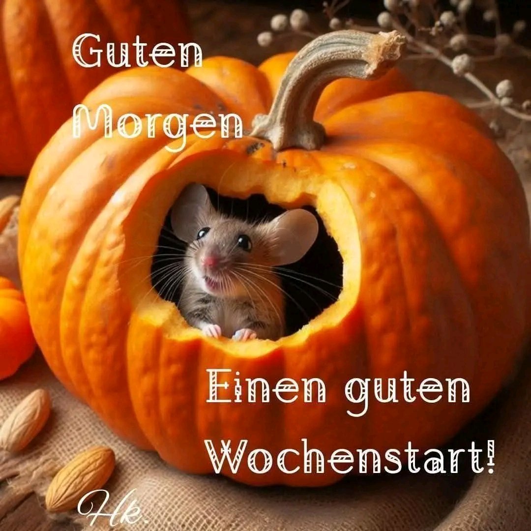 Guten morgen und einen schönen Wochenstart. ☕️