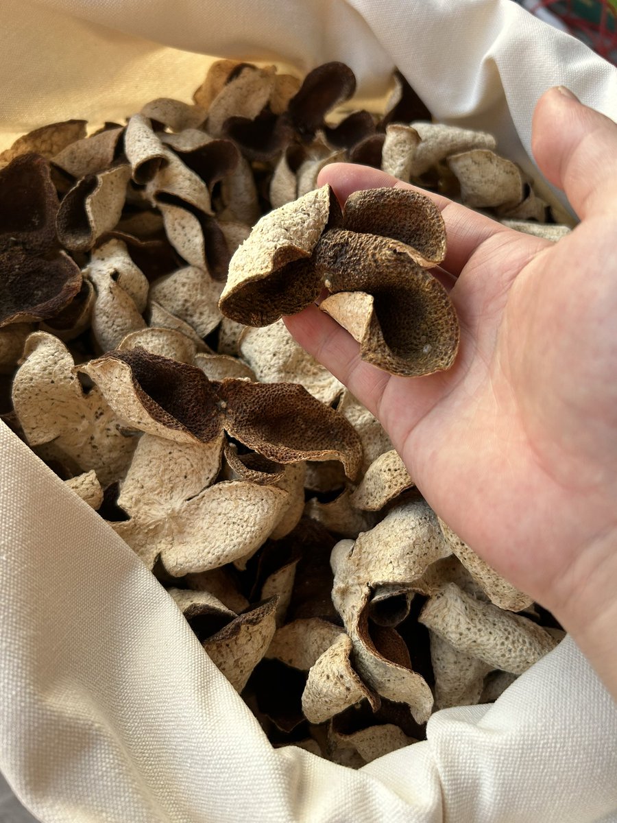 lihaihua8's tweet image. 新会陈皮是广东江门新会区特产，国家地理标志产品，以茶枝柑果皮制成，有 700 多年历史。其品质独特，源于新会独特的三水汇聚、咸淡水交界土壤，造就柑果香气足、甜润不苦涩。陈皮含川陈皮素、黄酮等成分，理气健脾、燥湿化痰。