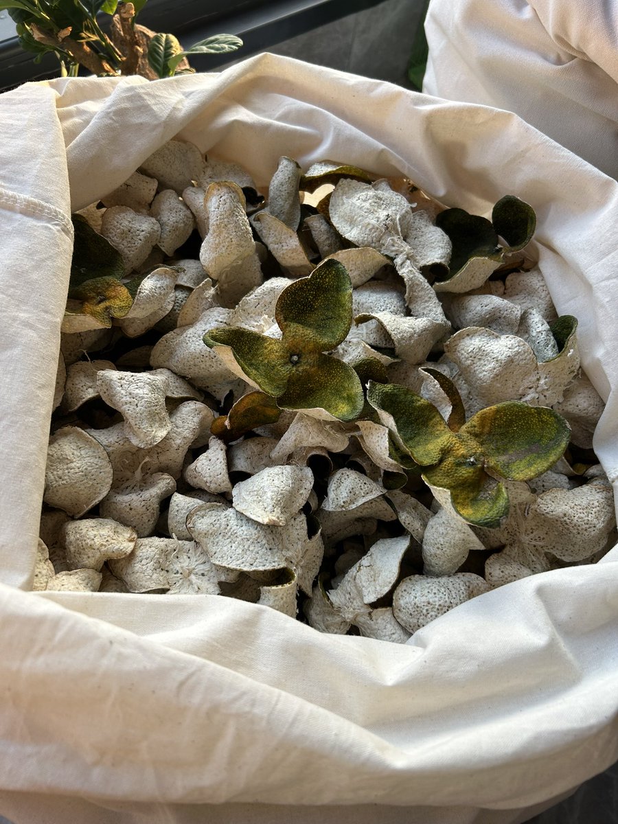 lihaihua8's tweet image. 新会陈皮是广东江门新会区特产，国家地理标志产品，以茶枝柑果皮制成，有 700 多年历史。其品质独特，源于新会独特的三水汇聚、咸淡水交界土壤，造就柑果香气足、甜润不苦涩。陈皮含川陈皮素、黄酮等成分，理气健脾、燥湿化痰。