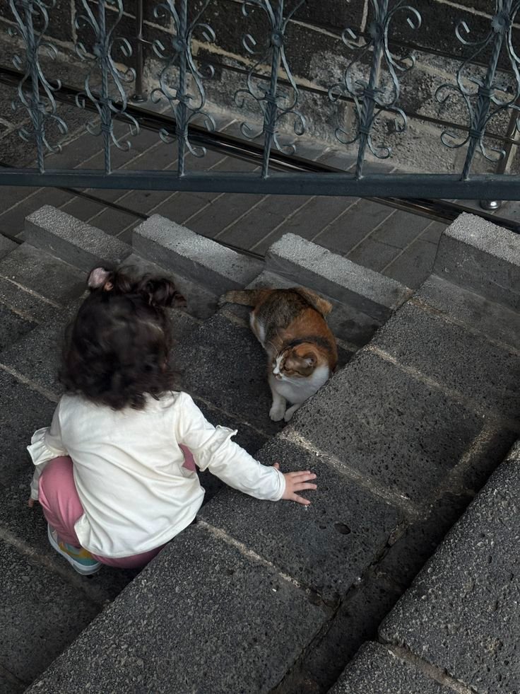 🪽 (@babysmelll) on Twitter photo 