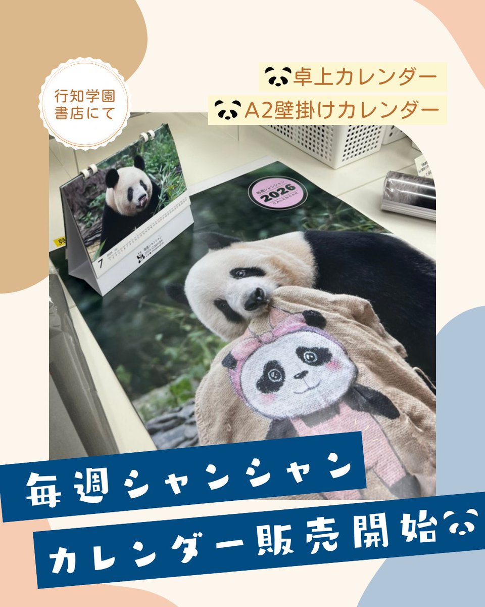 先日の大パンダ展で大好評だった 毎週シャンシャンさんのカレンダーが