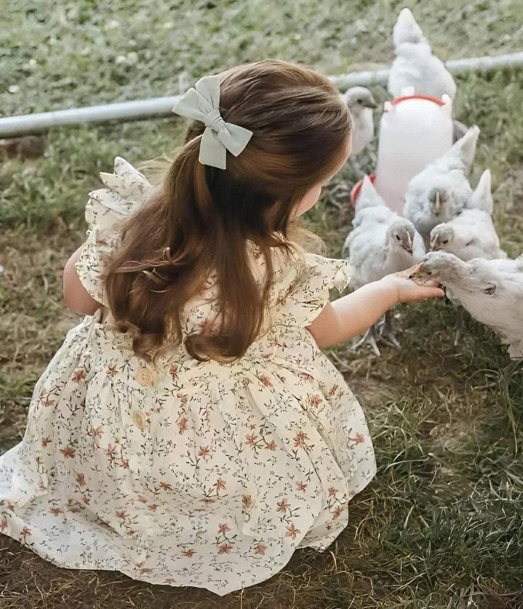 إِنَّ الأَرْوَاحَ عَلَى نَقَائِهَا تَقَعُ 🤍🕊️

#صباح_الخير