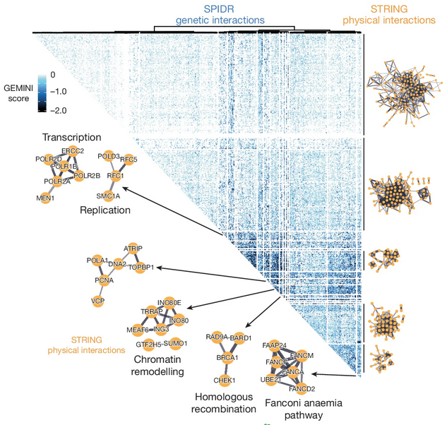 Jacob Corn tweet media