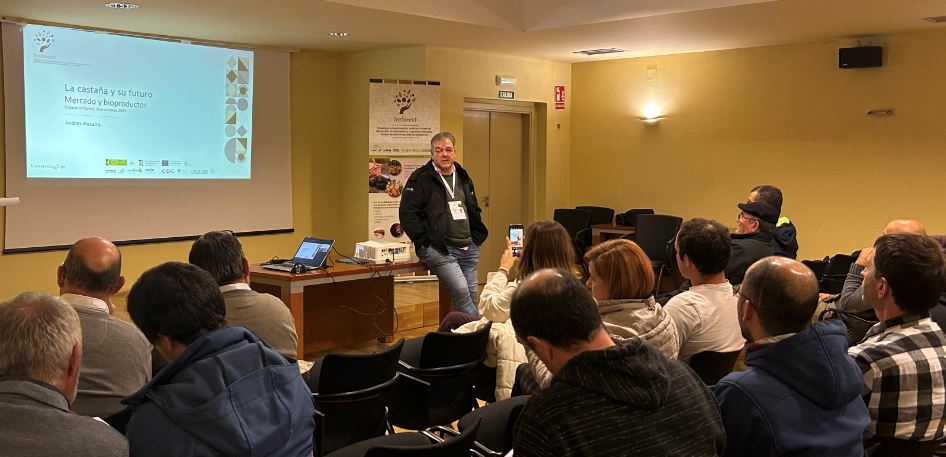 Imforest_PFNM's tweet image. El 14 de noviembre, en @BioCastanea , se abordó el potencial de la castaña y #PFNM: la castaña solo representa el 4,5 % del consumo de frutos secos. Clave para crecer: mejores datos, modelos de negocio sólidos, más presencia en supermercados #NextGenerationEU #ProyectosPRTR #PFNM