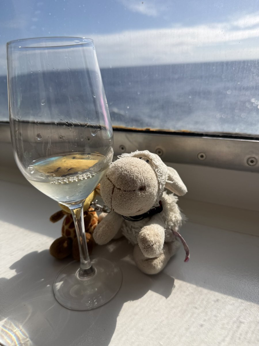 BigTurtler's tweet photo. Um 11:00 Uhr fand die Weinverkostung für die höherrangigen Latitude Members statt:
Wir starteten in Frankreich, tranken uns über Italien, Chile, Argentinien bis zu den US amerikanischen Weinen durch. Dabei lernten wir ein wenig über die präsentierten Weine. https://t.co/6IzF9kqhy5