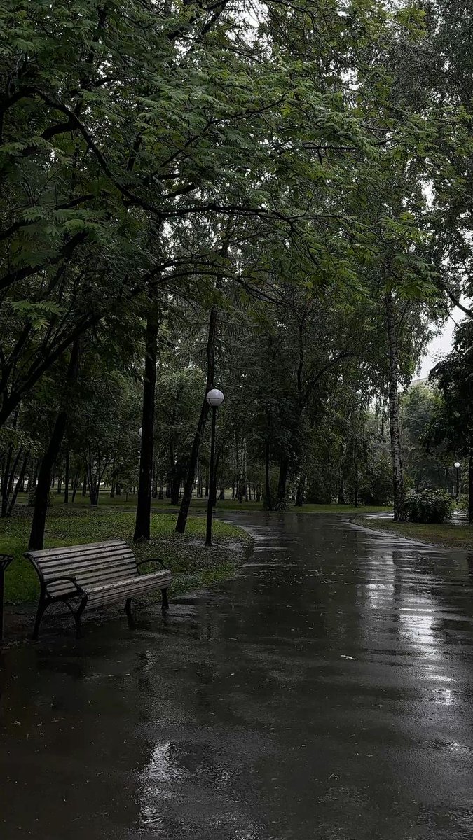 elemmiressoul's tweet image. 𝑟𝑎𝑖𝑛𝑦 𝑑𝑎𝑦.