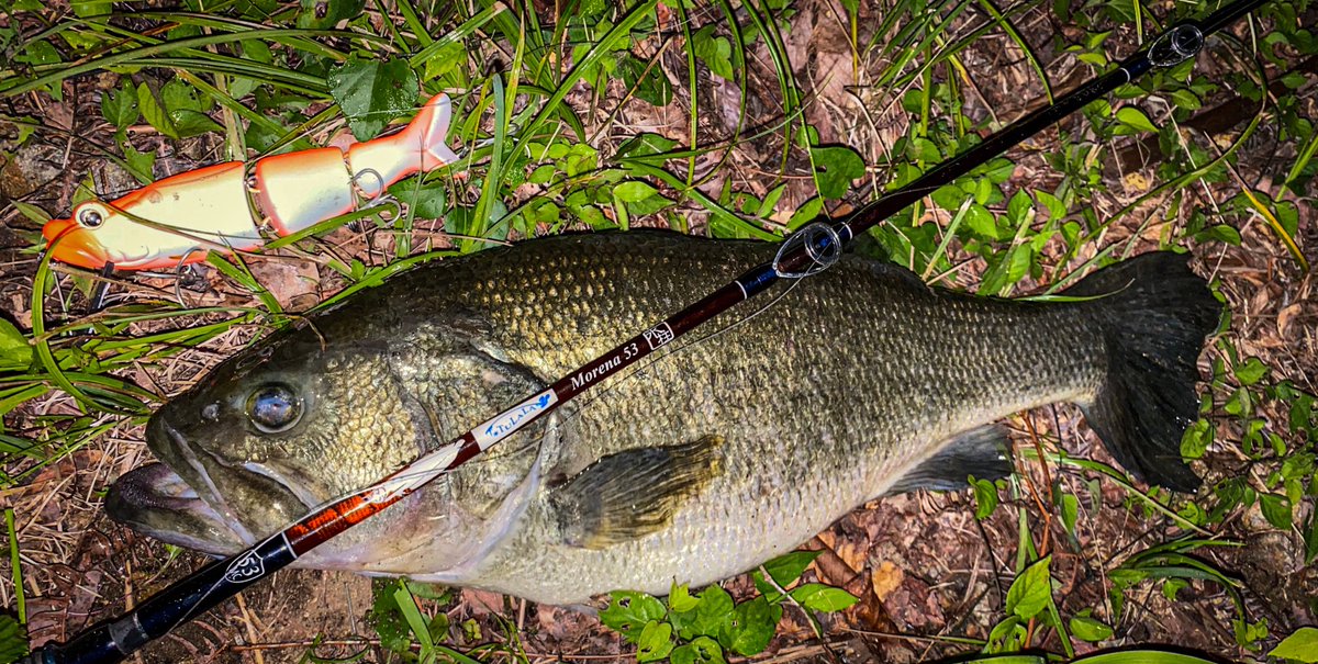 琵琶湖ナイトゲーム！ベイトロッドモレーナ53とトビキチで50UP2匹が