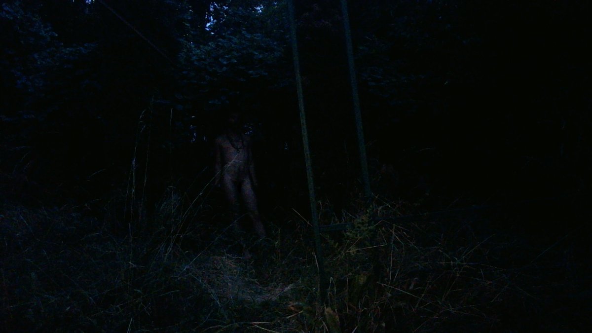 HotCocoScanner's tweet image. Blood, guts and pixie dust