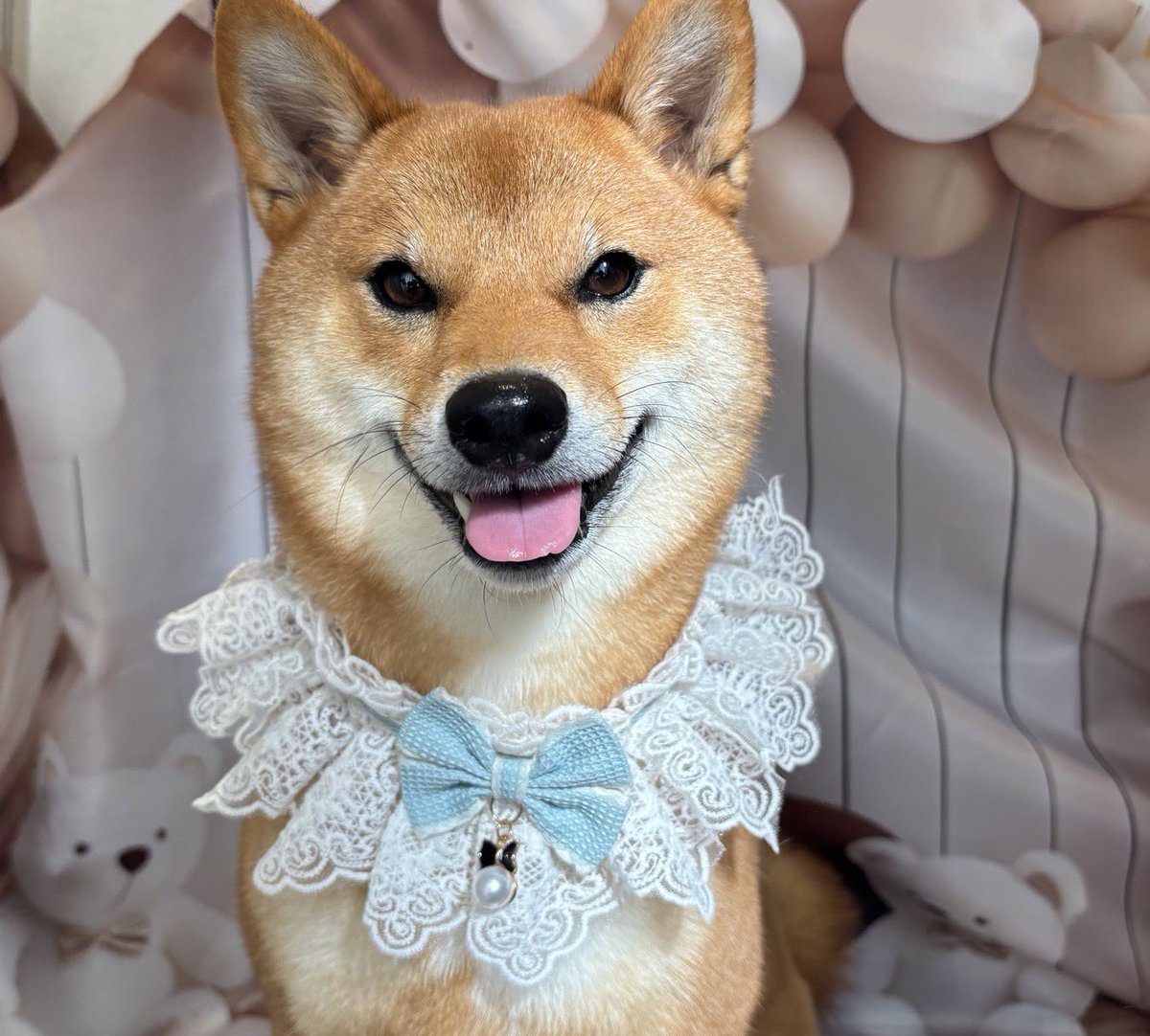 シャンプー🧴🫧
可愛いねぇぇぇぇえ