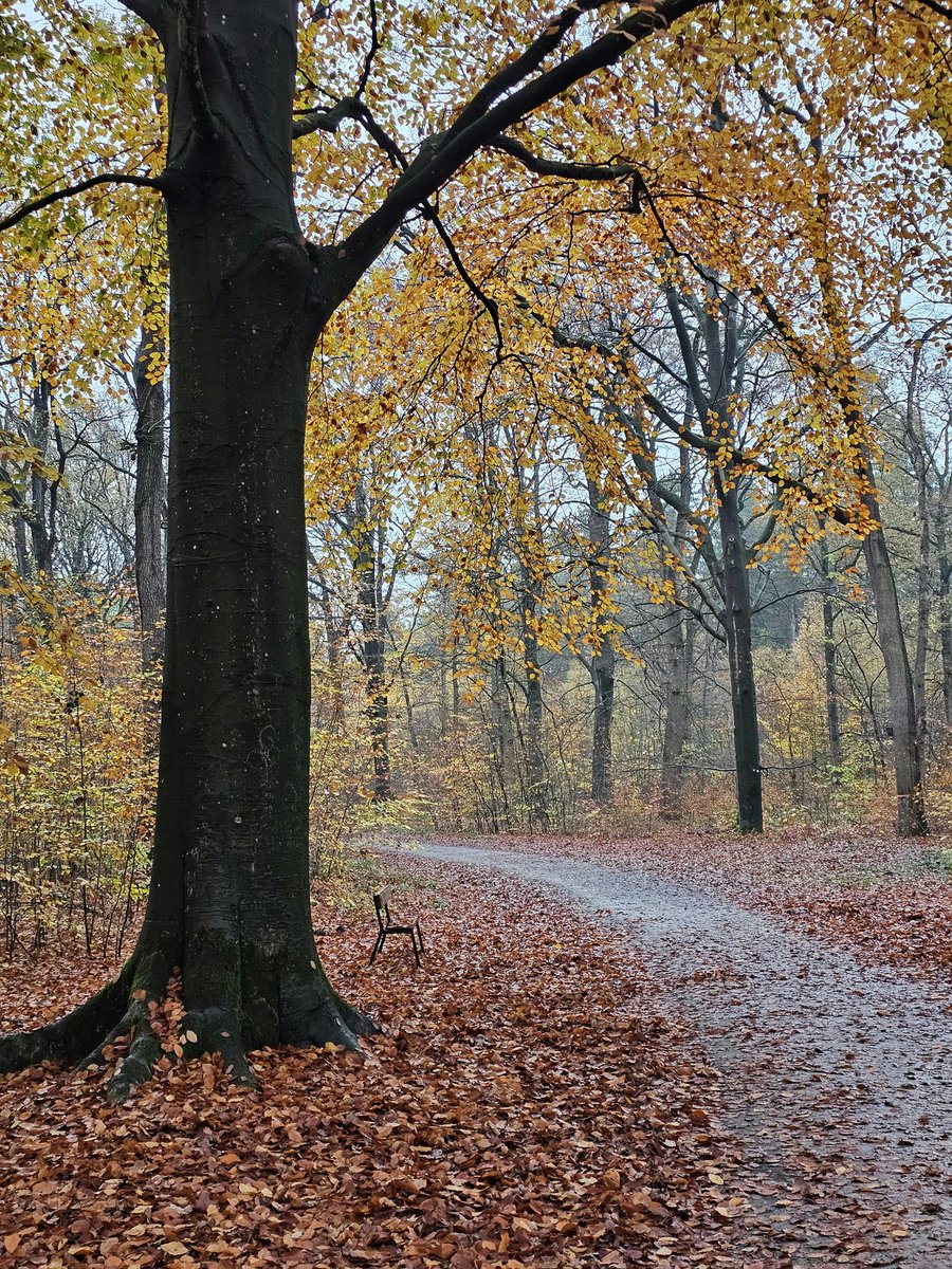 MESSAI_Bill's tweet image. Good Monday 🍂 #MondayVibes