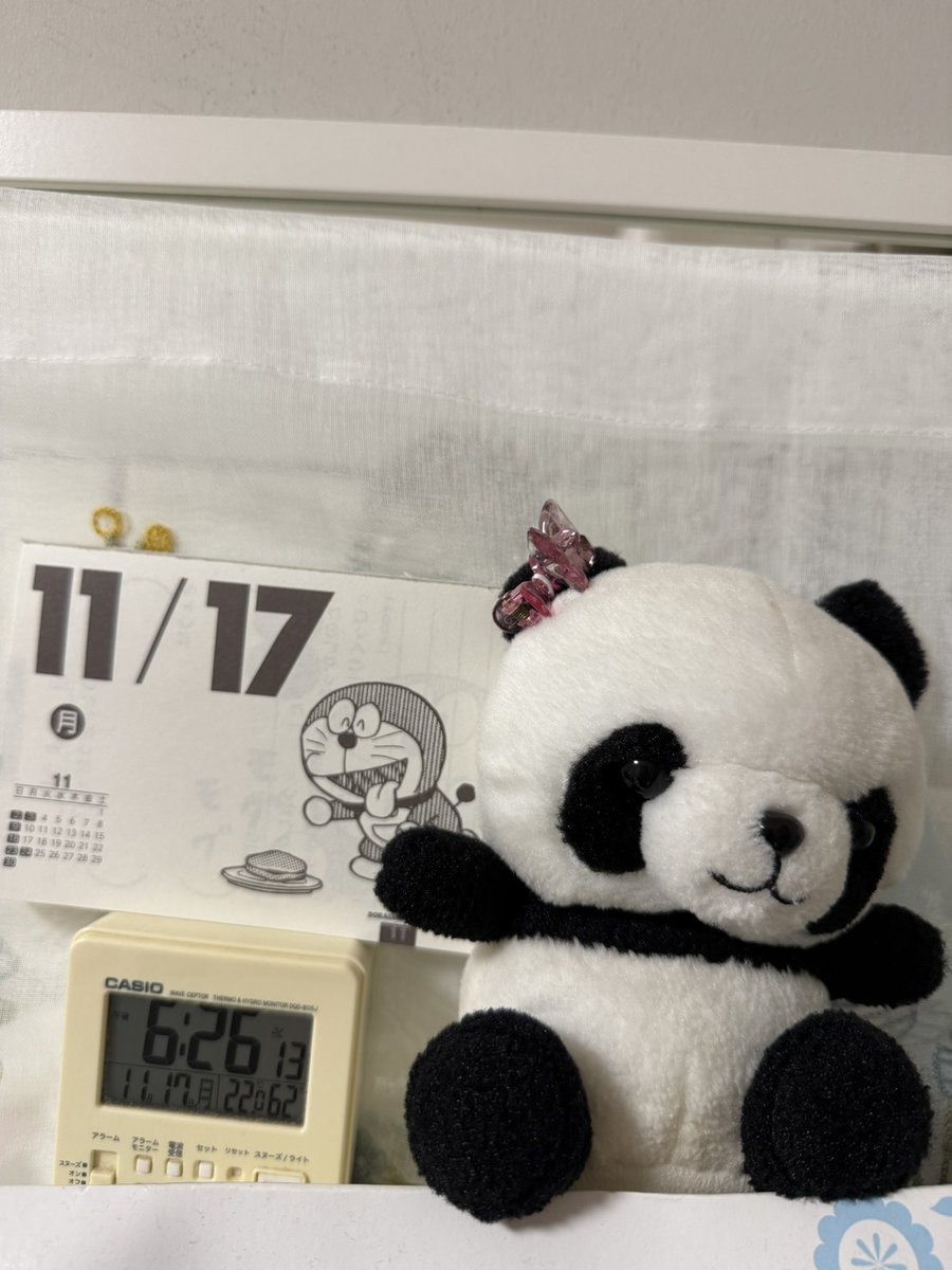 本日はこちら🕴️ あんず＊ KESA＊UTA #1131 2025/11/17 #Darling #V6