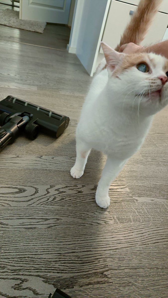 LaeppaVika's tweet photo. Hitto just olis lähteny Pipa imuun https://t.co/fmSaYGIgos