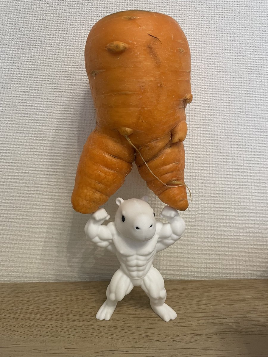 人参マンと戦うのだ🥕いぇい🐾
#カピバラ
#capybara
#白いけどカピバラ
#マッチョ
#筋肉
#水豚
#卡皮巴拉