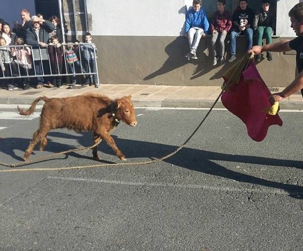 ¿Qué aprende un menor de esto? 👇

Que los animales son objeto de diversión, humillación y violencia. Que se puede hacer cualquier cosa con ell@s y que es "tradición".

Por eso la propuesta de PNV y PSE vulnera objeciones internacionales, porque expone a violencia.